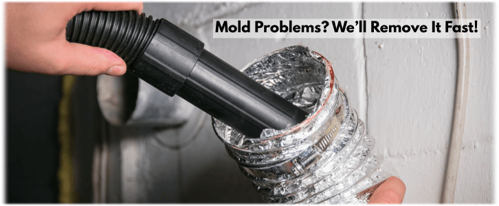 Air Duct Mold Removal in Peoria