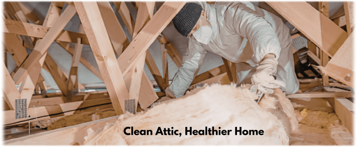 Attic Cleaning Peoria