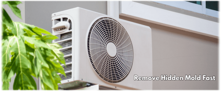 HVAC Mold Removal Peoria